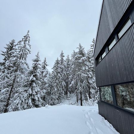 Chalet Dachstein Рамзау Экстерьер фото